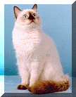 Hershey.gif (12741 bytes)