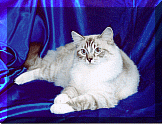 Penny.gif (20295 bytes)