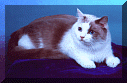gigi.gif (8986 bytes)