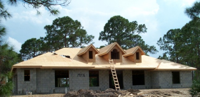 3-1-03front.jpg (61105 bytes)