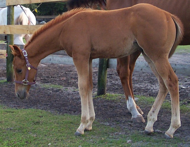 7-11-03.jpg (101725 bytes)