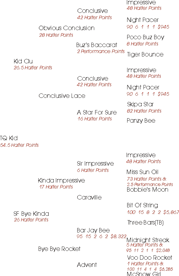 TQ Kid Pedigree.JPG (226064 bytes)