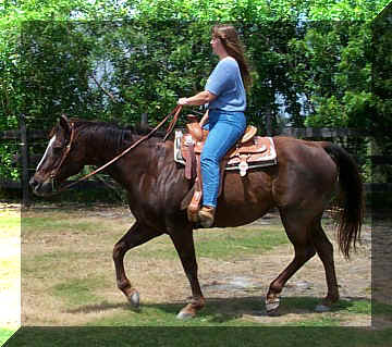 katie14.jpg (58777 bytes)