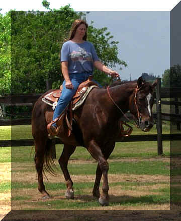 katie19.jpg (57309 bytes)