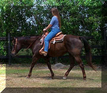 katie20.jpg (53766 bytes)