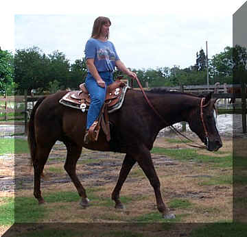 katie23.jpg (46483 bytes)