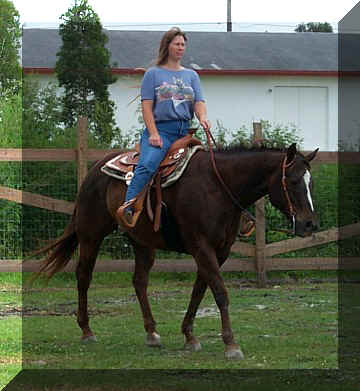 katie25.jpg (51521 bytes)